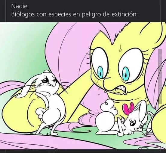 chingaaa