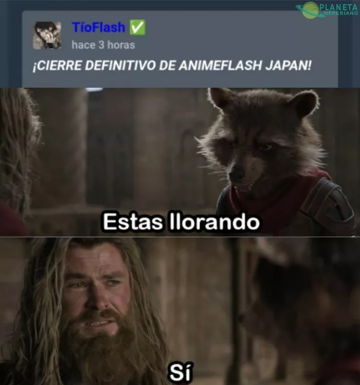 Siempre estarás en mi pestaña de favoritos Animeflash