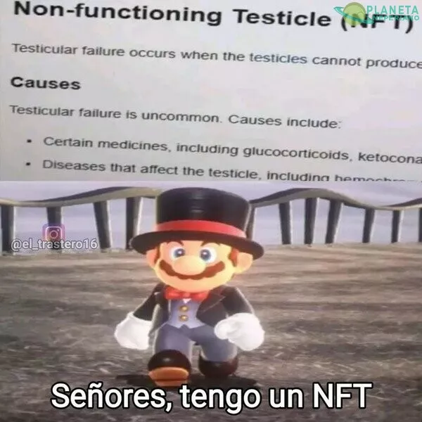 Yo y los NFTs