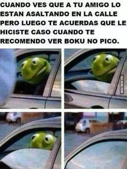 cuando te recomiendan boku no pico