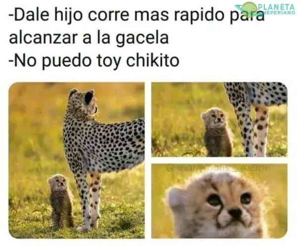 chikito,,,chikito lo tenes xd