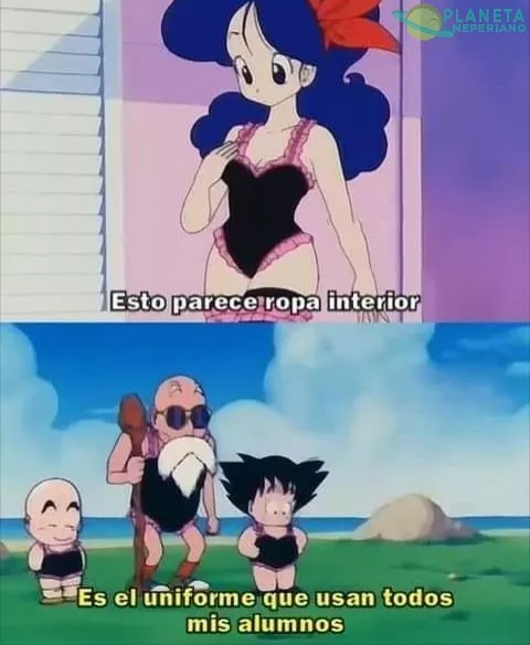 Que buen truco roshi