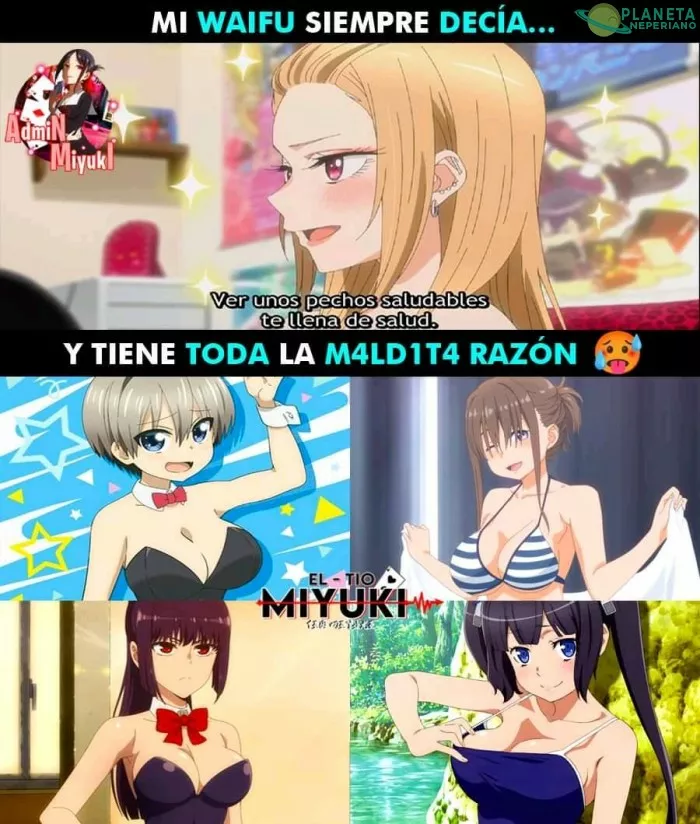 lo sabía, las tetas son vida