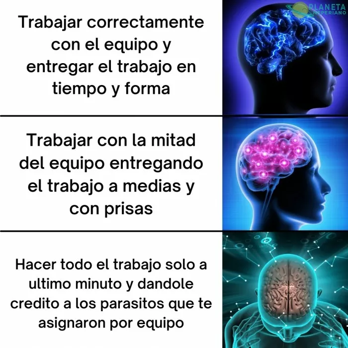 Trabajpo en equipo