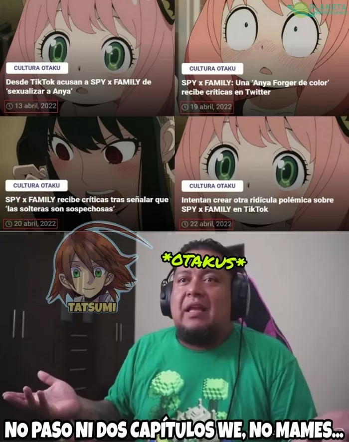 TÍPICO DE LOS ARDIDOS 