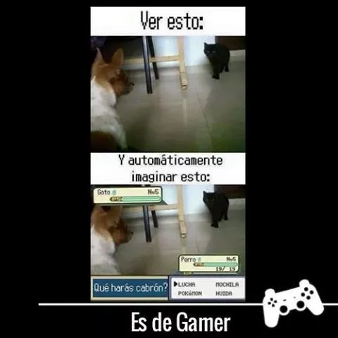 típico xD