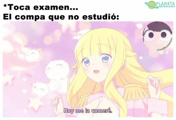 Estudien...