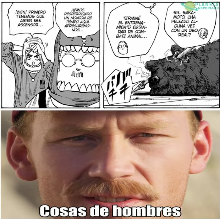 Siempre hemos pensado en como derrotar un oso