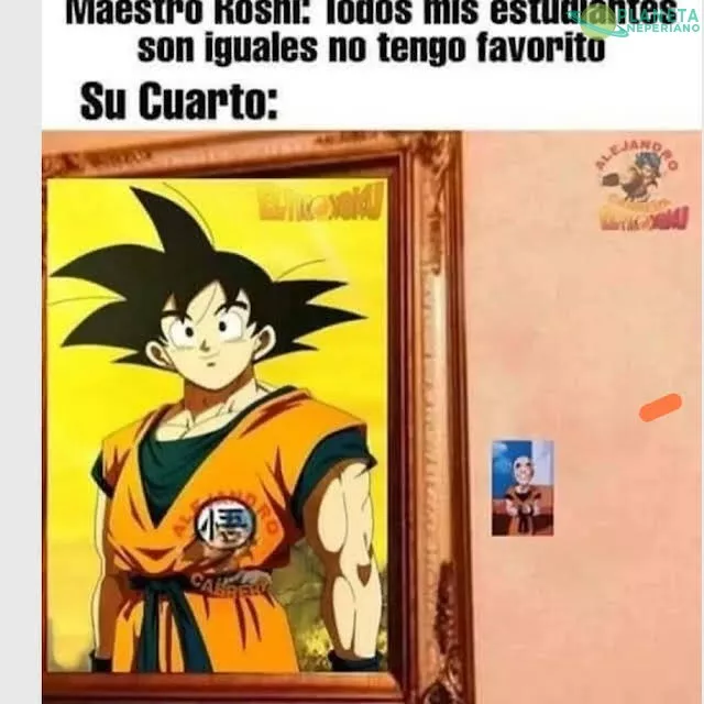 todos aman a son wukon digo goku