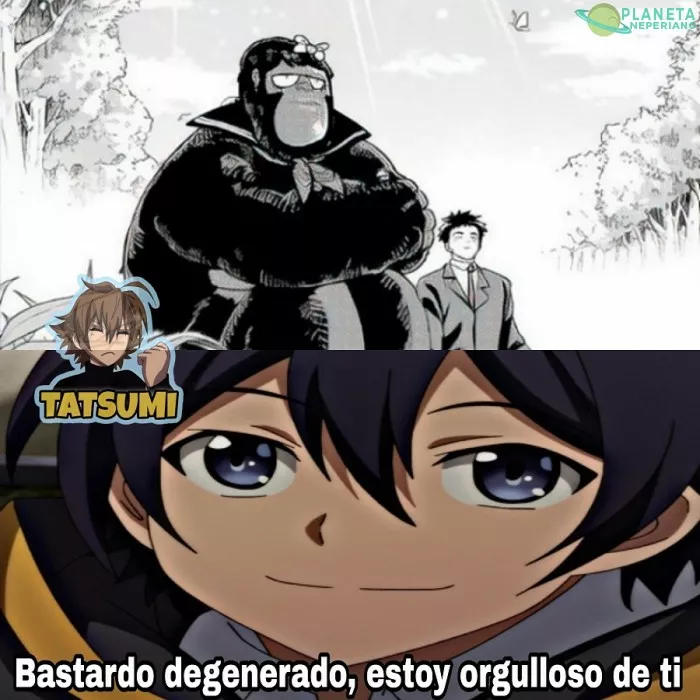 CUANDO TE ENAMORAS DE UNA GORILA