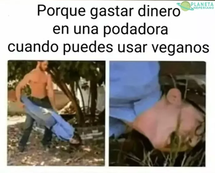 es hora de conseguir un vegano!!