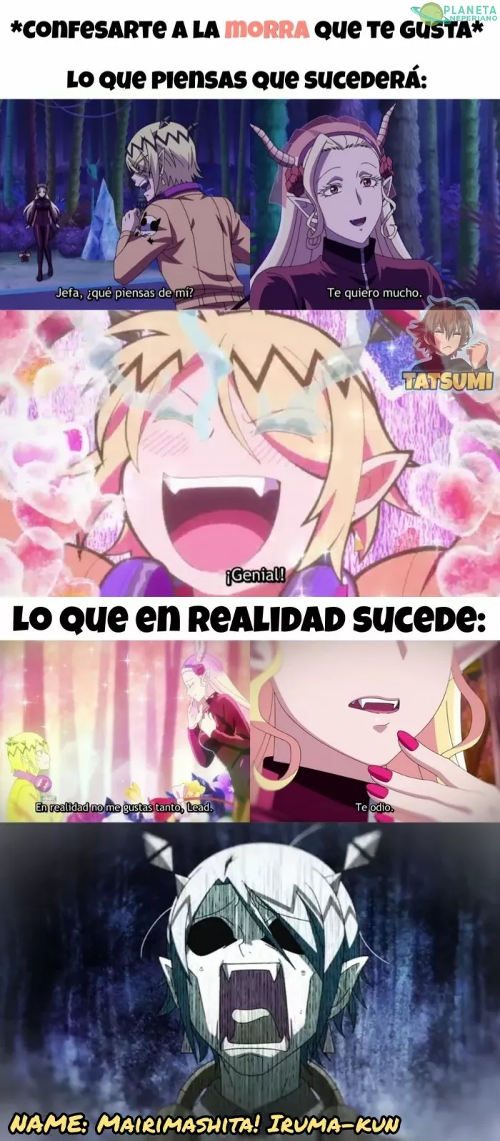 CONFESIONES (EXPECTATIVA VS. REALIDAD)