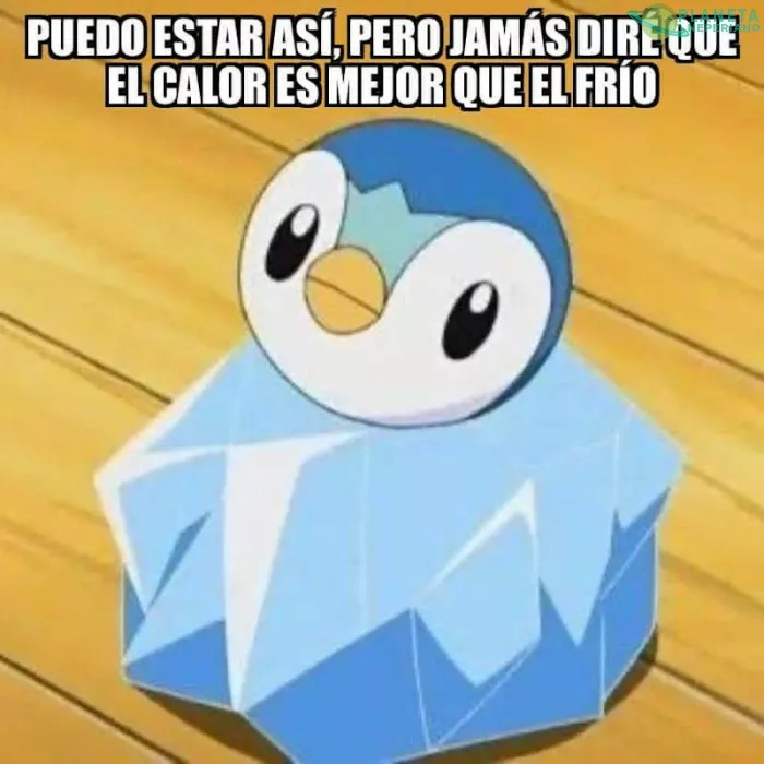 bien dicho piplup 