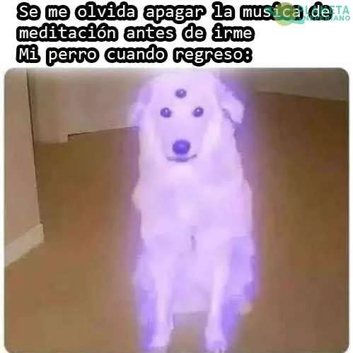 el perro de doctor manhattan 