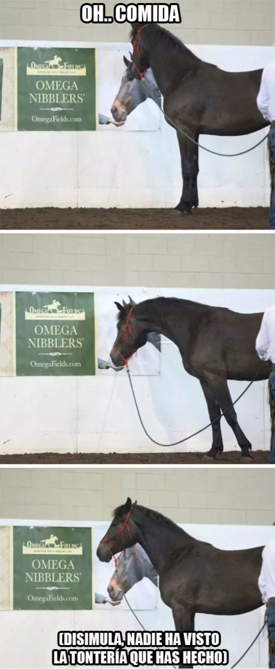 cuando te crees las noticias anime del 1° de abril