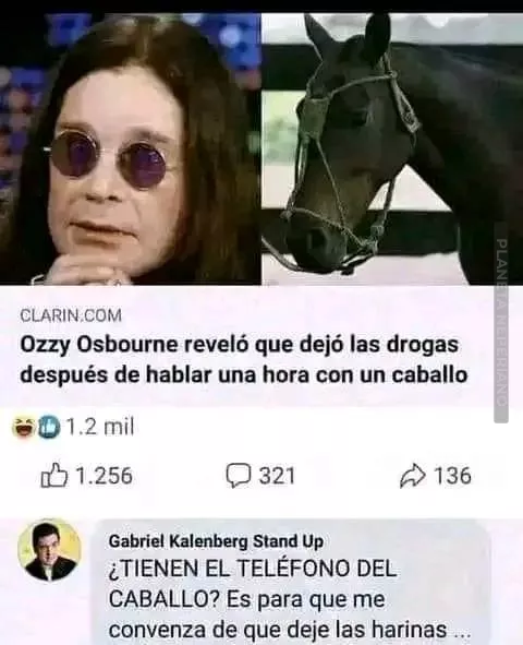 caballo