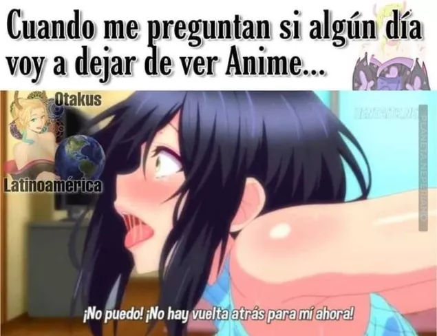 no hay