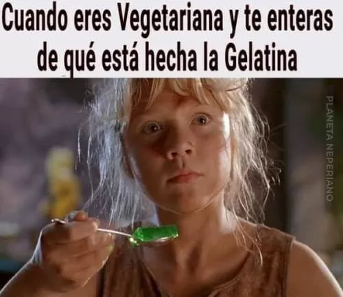 gelatina 