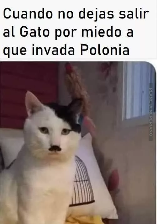 polonia