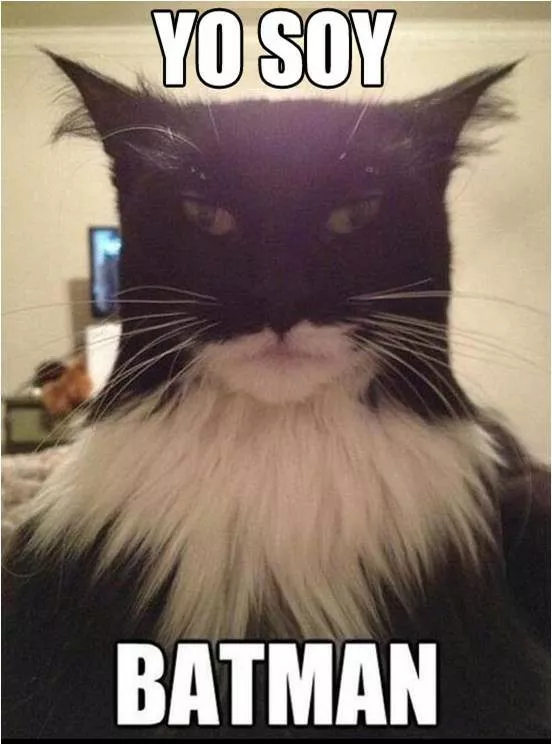 Soy Batman .. ⊙ω⊙ .. 