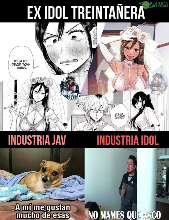 los Jav si saben que hacer con sus Idols