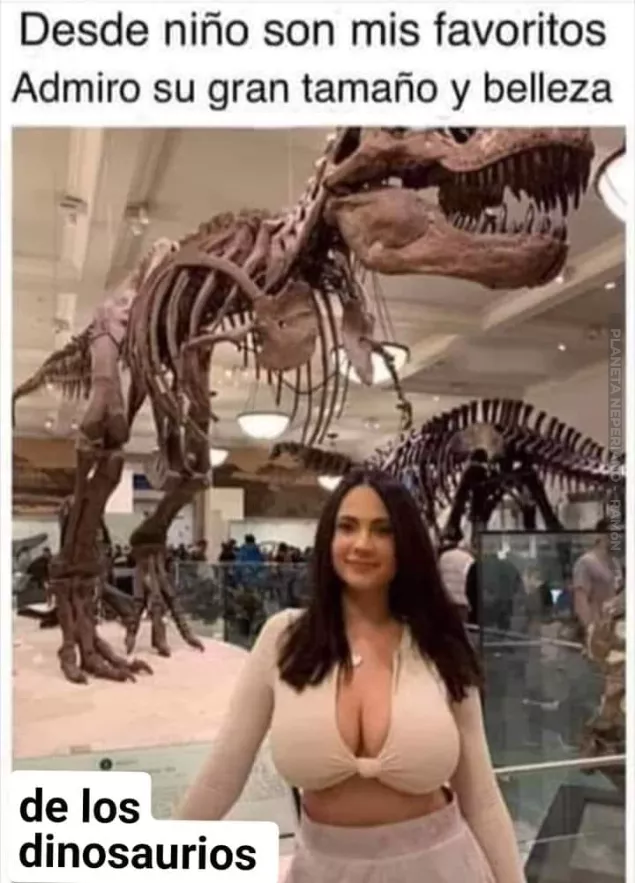 que grandes son los dinosaurios