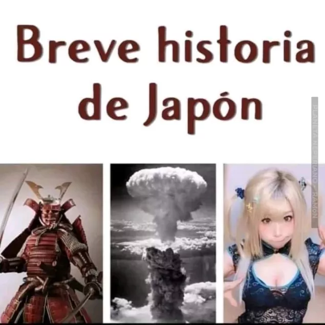 Japon resumida en 1 imagen