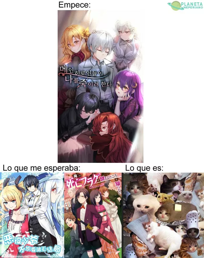 Estoy llorando un poquito mas de lo que esperaba