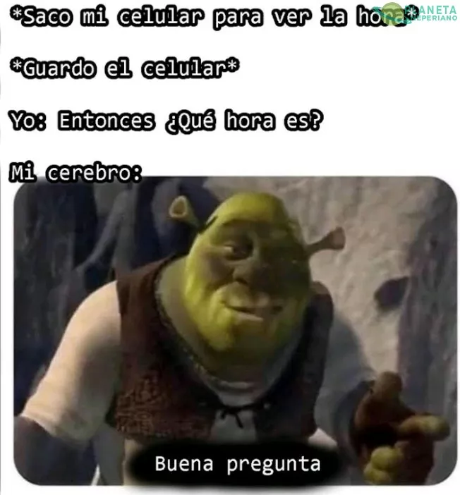 El cerebro es un enigma muy raro