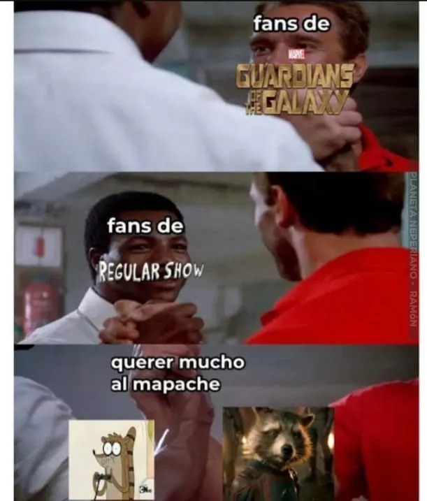 el mapache siempre es el mejor personaje