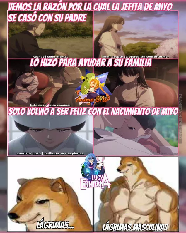 Ya empezaste otra vez :v