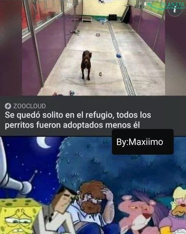 Que sad 