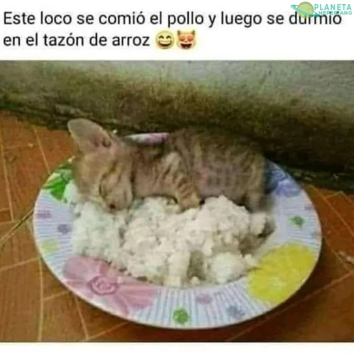 Estos chinos 