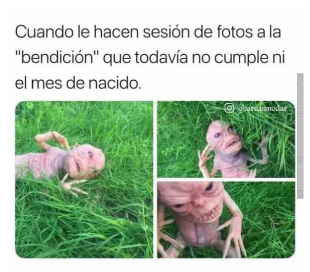 no pueden dejarle de tomar fotos a un bebe sin que pasen 5 minutos