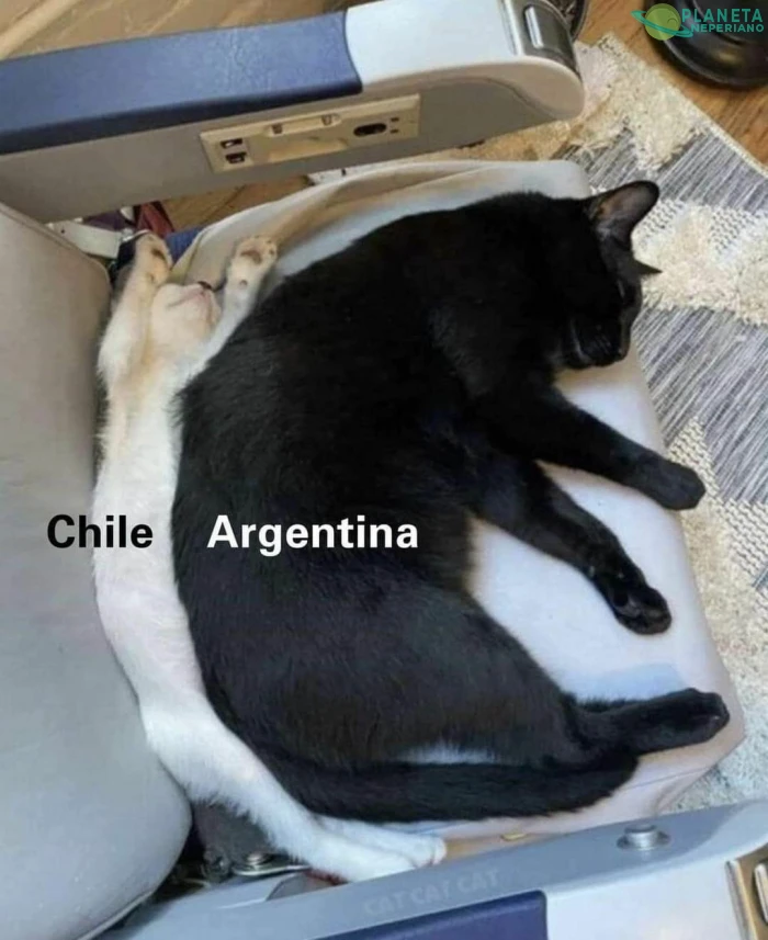 Pobre michi chile xD