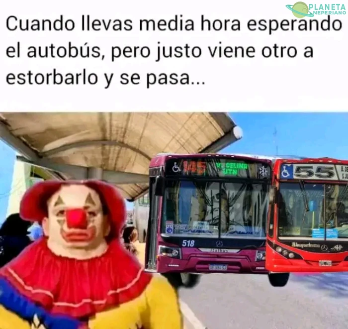 Maldito colectivo