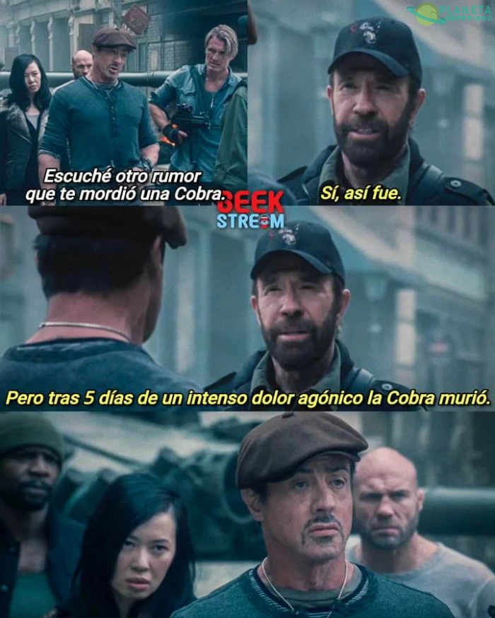 Chuck Norris facts