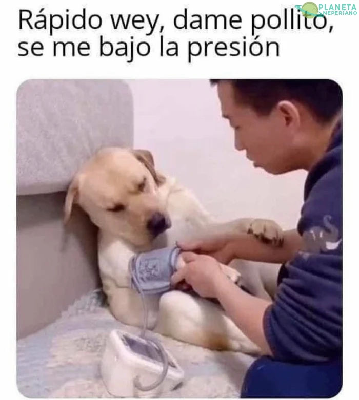 A mi me pasa con mis gatos