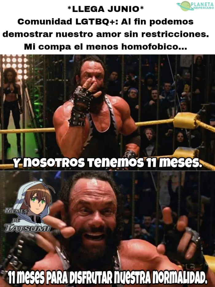 ELLOS NECESITAN UN MES PARA SENTIRSE ORGULLOSOS Y NOSOTROS EL RESTO DEL AÑO :V