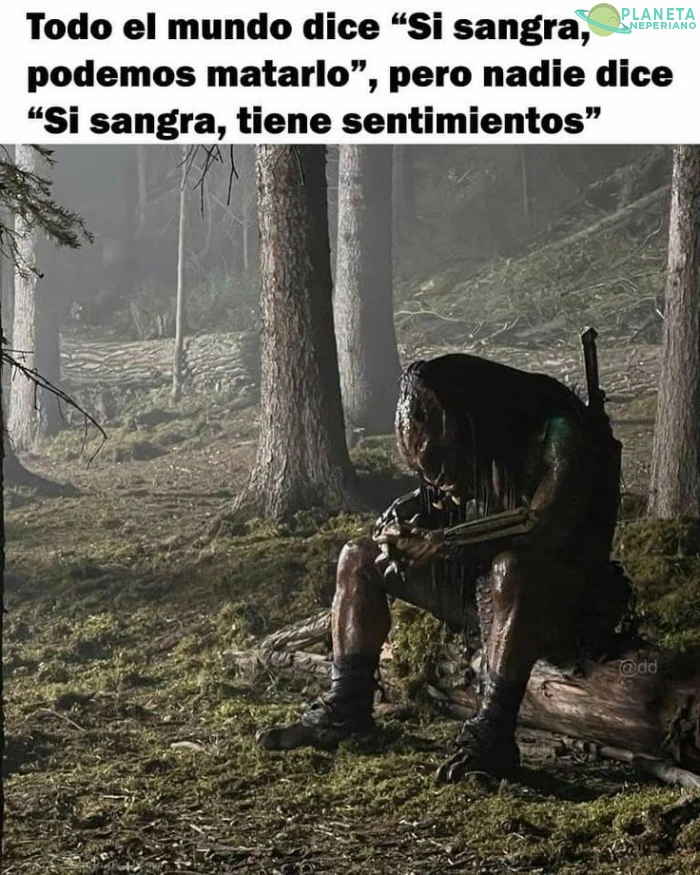 Cucarachon se nos puso sentimental.jpg 