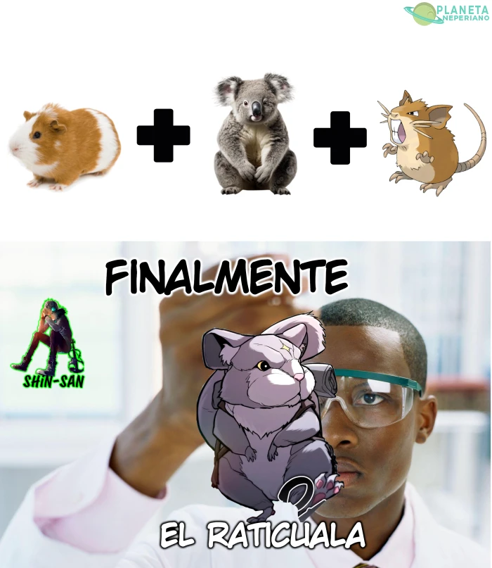 finalmente XDDD