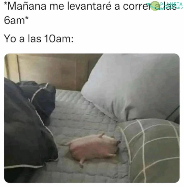 Si soy. XD