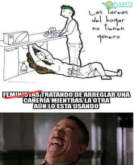 Simplemente feministas