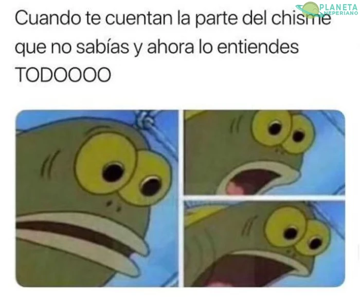 Todo cobra sentido 