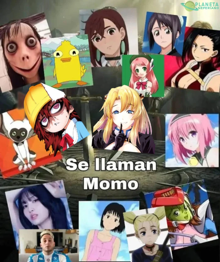 MOMOS EVERYWHERE