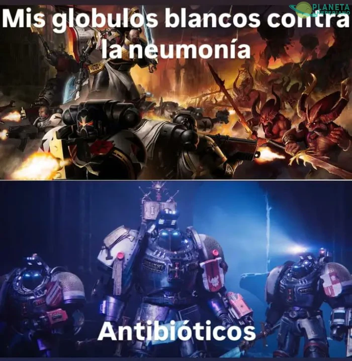 En realidad, los Caballeros Grises serían Quimioterapia...