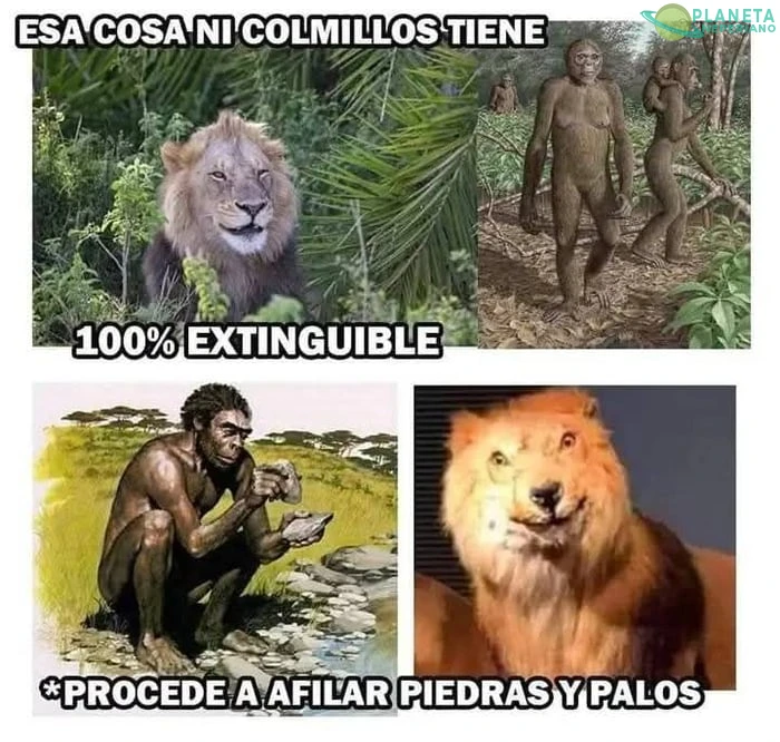 Domados por el bipedo capaz de crear y usar herramientrs