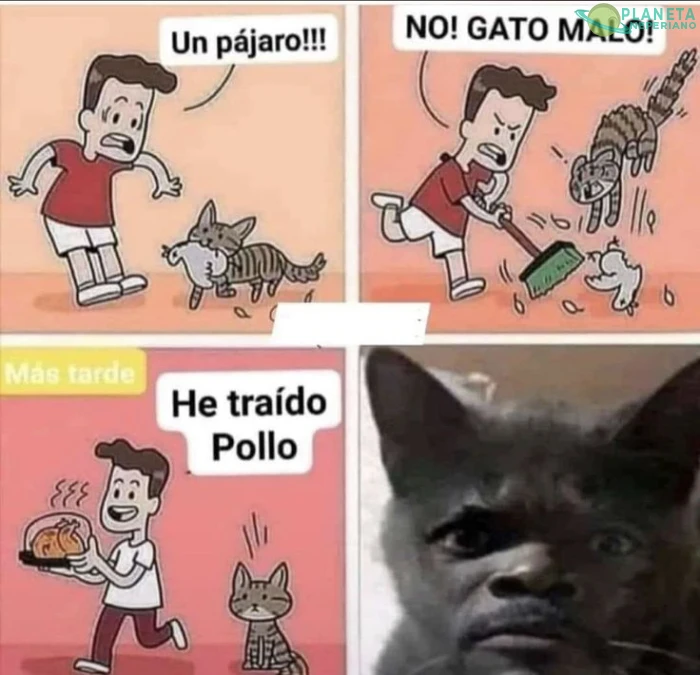 Kuak :vv