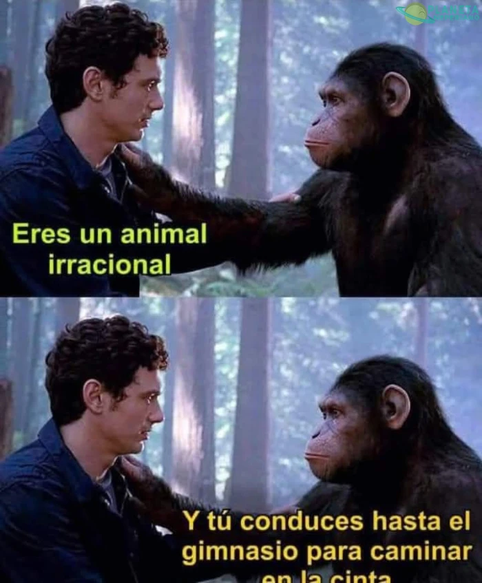 No se quién es el animal.