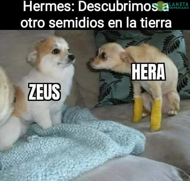 ¡¡Zeuuuuss!!